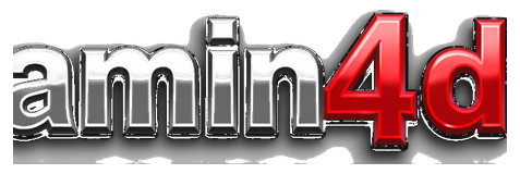 amin4d logo